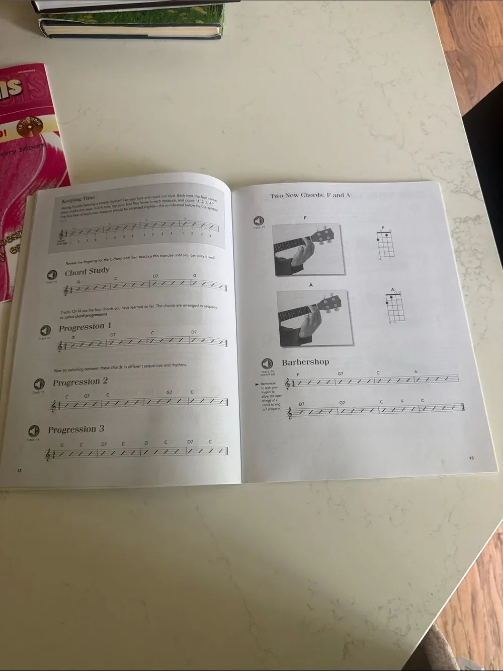 Lot of 2 books Play Ukulele Today! Beginner Lesson Book - White